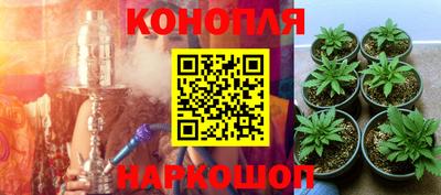 ешки Туймазы