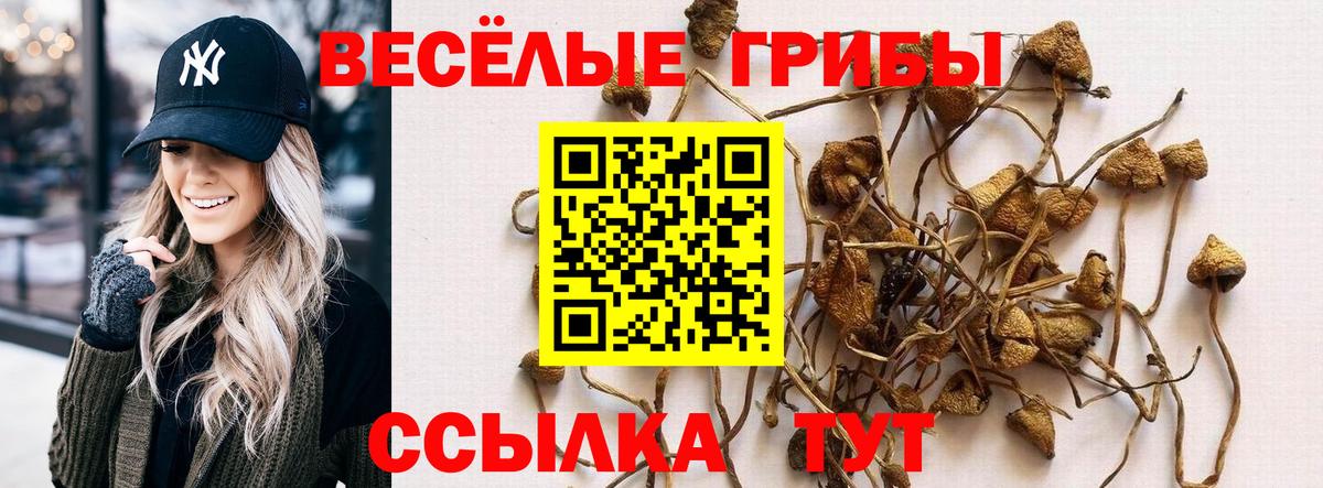 Партизанск  Галлюциногенные грибы Magic Shrooms  Вход с VPN 